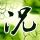 郑丽文率团抵达大陆